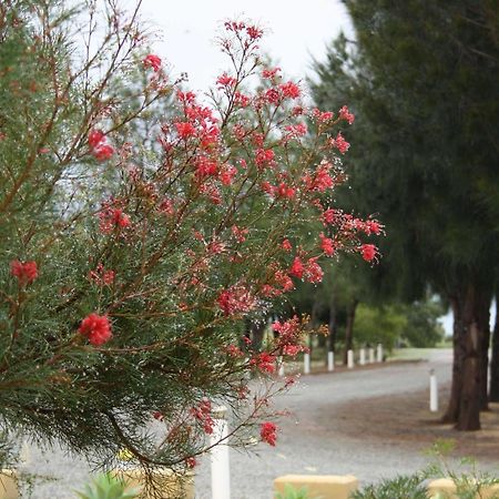 The Heights Bed & Breakfast Bed and Breakfast Jurien Bay Exteriör bild